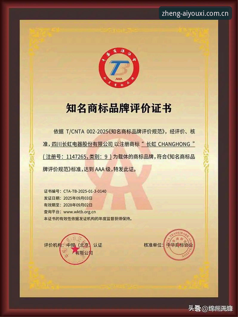 揭秘实力认证平台CN入口：一个被误解的“入口”，藏着2025版App的真相