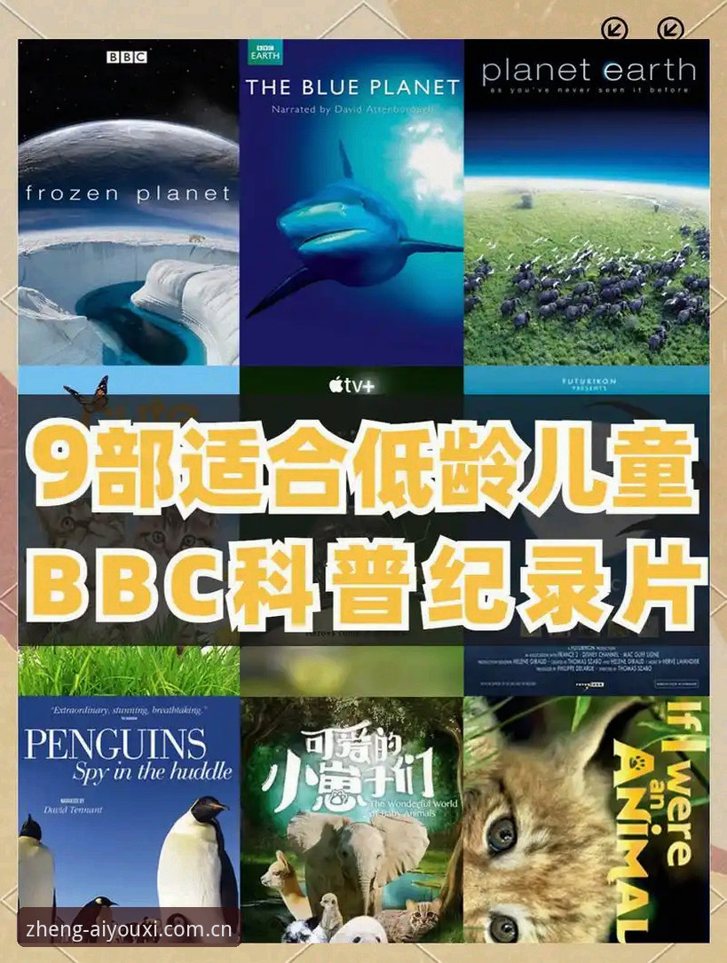 看懂索斯盖特新纪录片，实力认证AC登录页必备的3个实用技巧